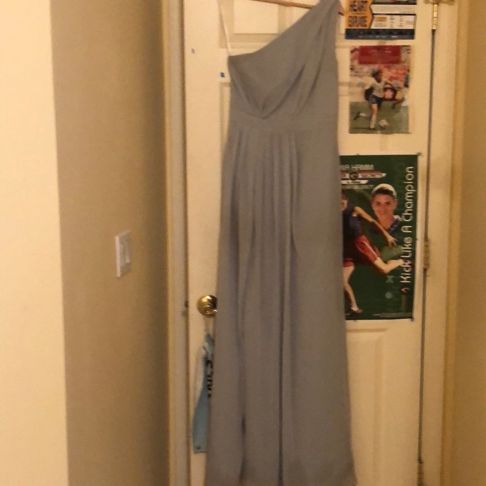 David’s bridal one shoulder dress